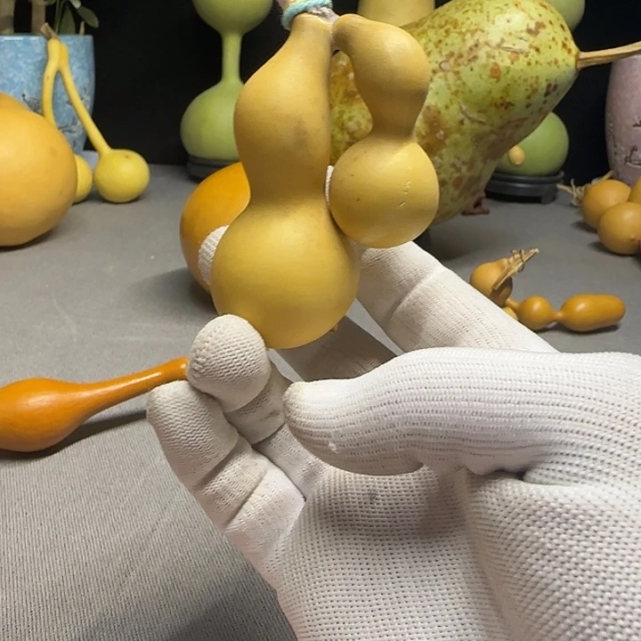 ****贵异形连体轻微皮伤