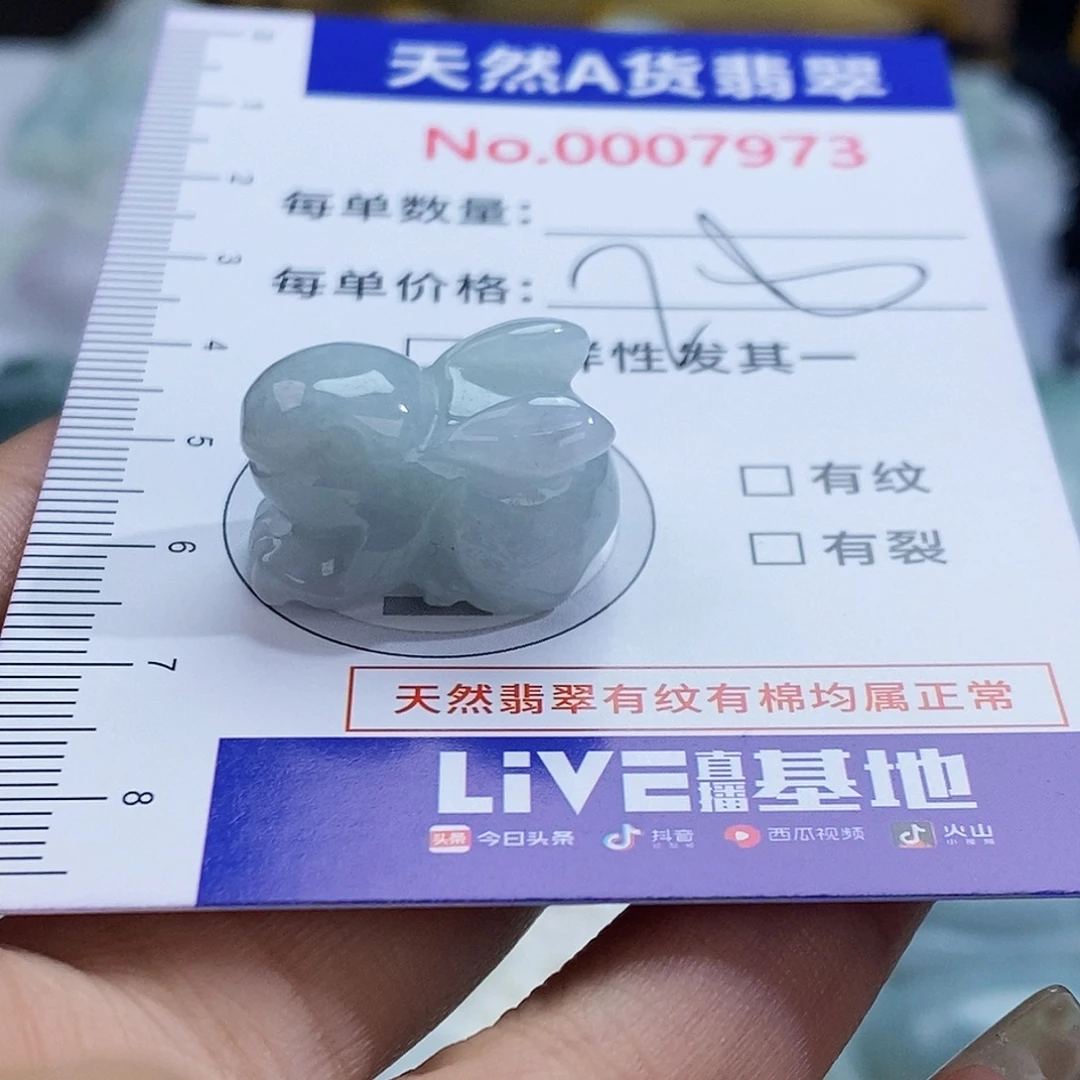 翡翠未镶嵌颈饰7973