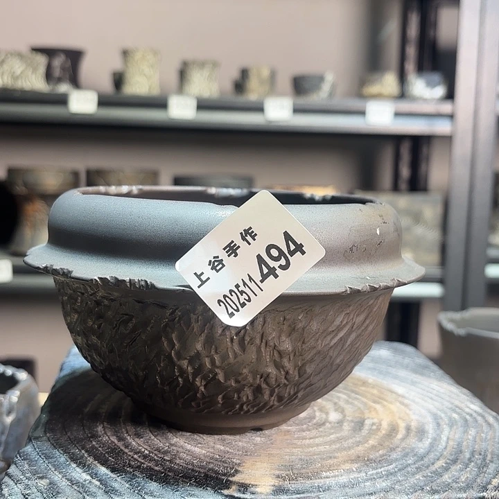 内口12高10块根植物盆哑金