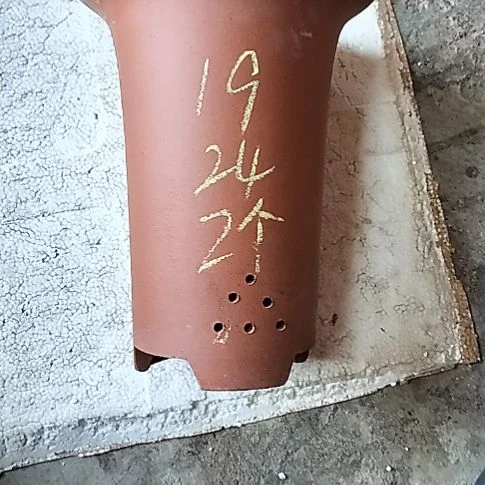 大红兰花两个花盆