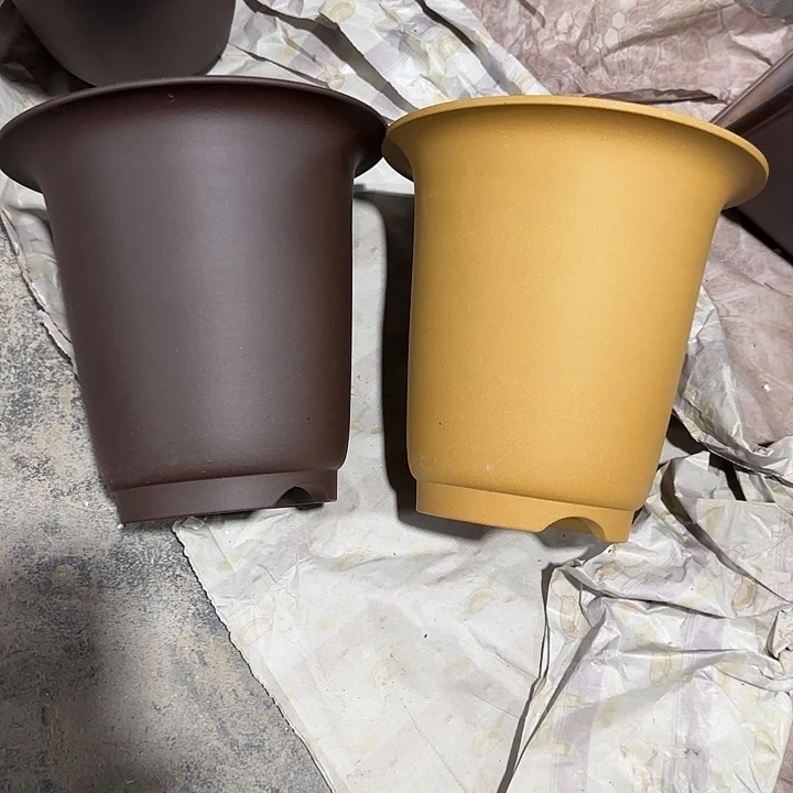 各一只共两只20×20