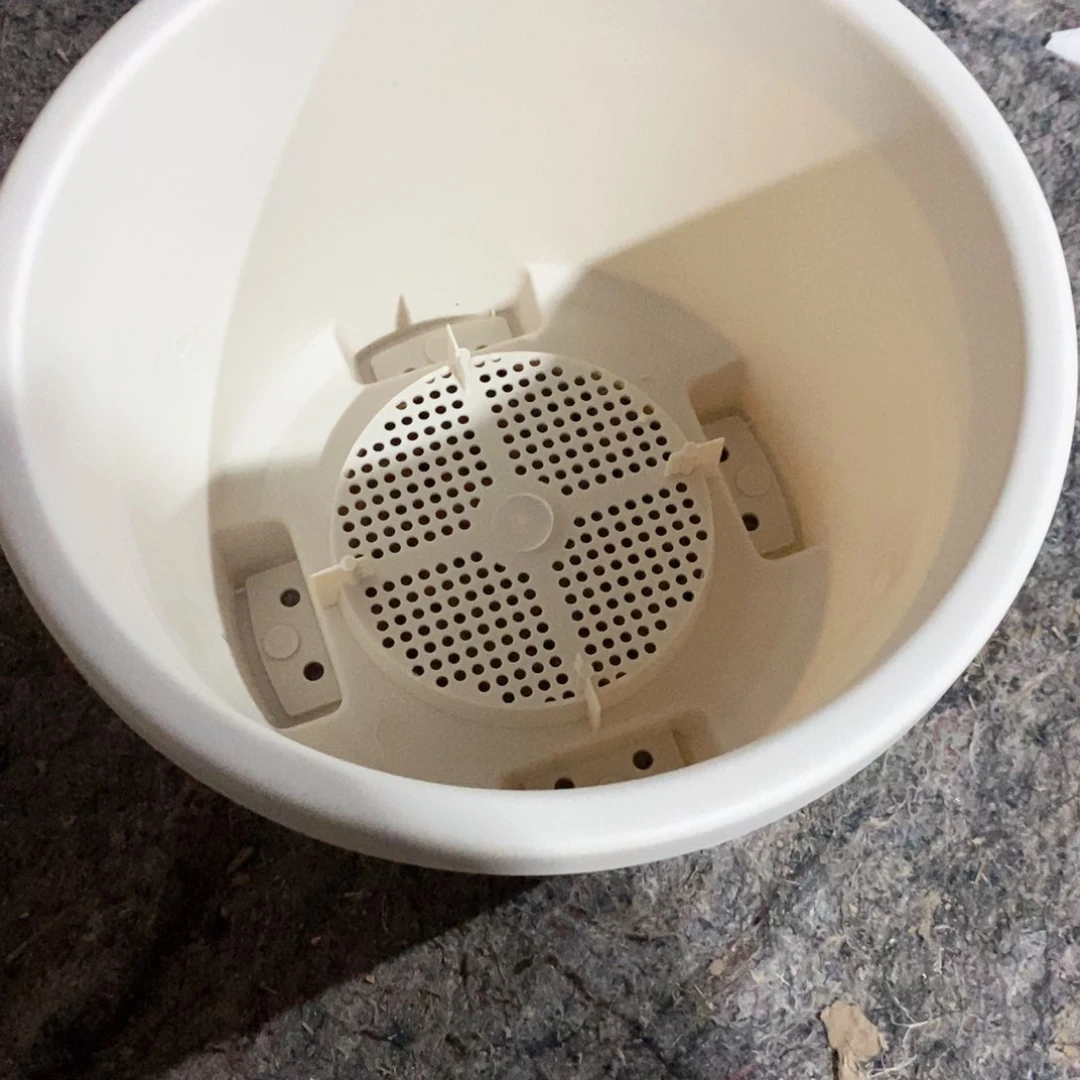 5个26口米色圆形球根无托（26×19）