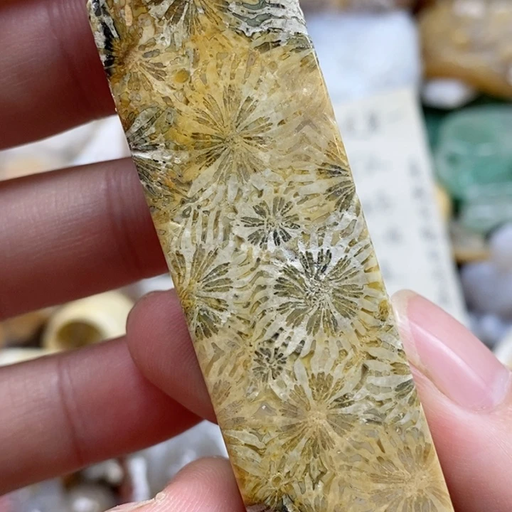 硅化珊瑚（珊瑚玉）未镶嵌颈饰