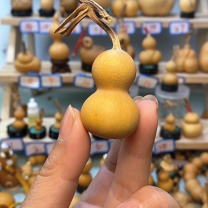 淡直播间手把小葫芦