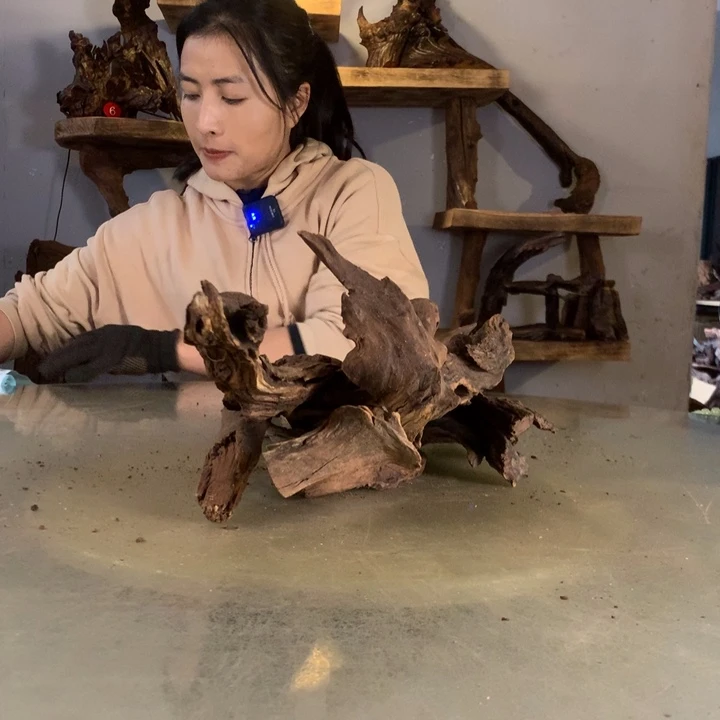 来***网天然沉木都会黄水