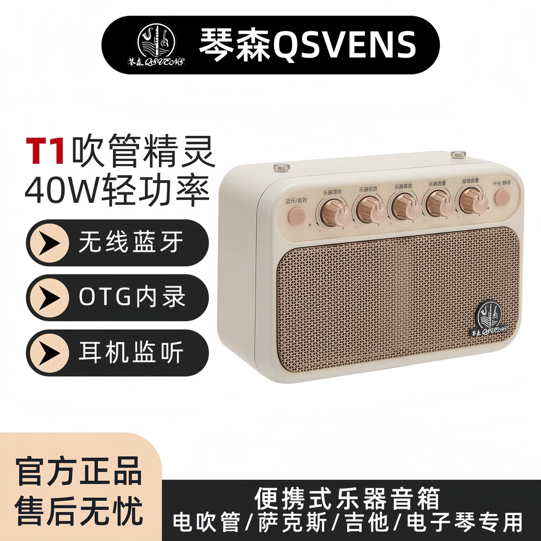 琴森T1迷你便携式乐器专用音箱支持蓝牙内录适用于电吹管吉他户外