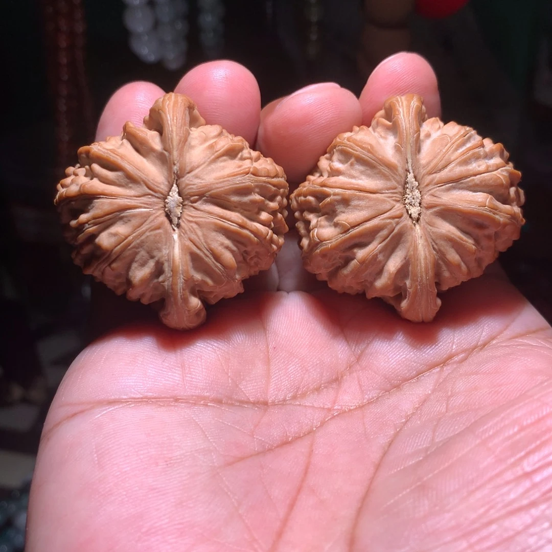 文玩核桃把件大球白  44尺