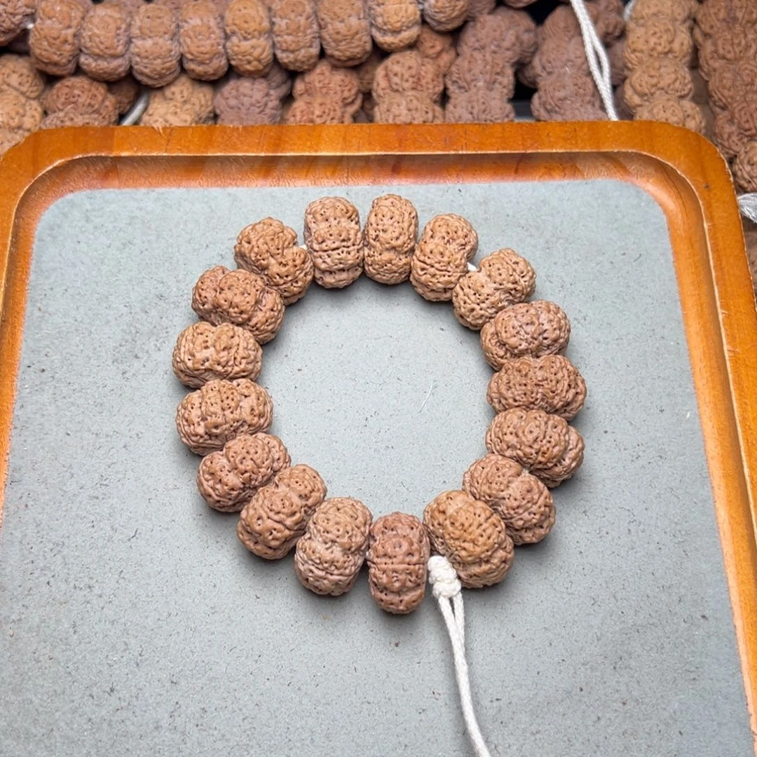 菩提20号金刚菩提蜂王夹板23