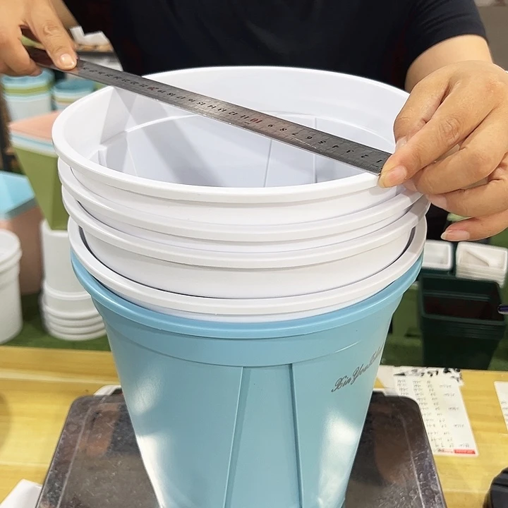 青山240口24高24混色无托5只