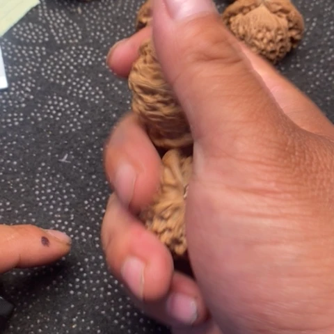 文玩核桃把件宫灯20