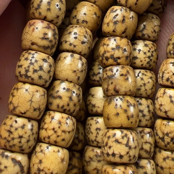 我们都是在这里看到的