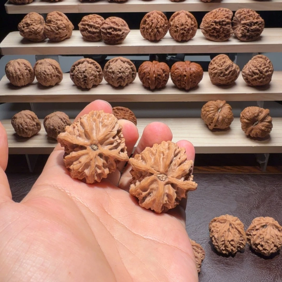 叁柒文玩38尺全品苹果园