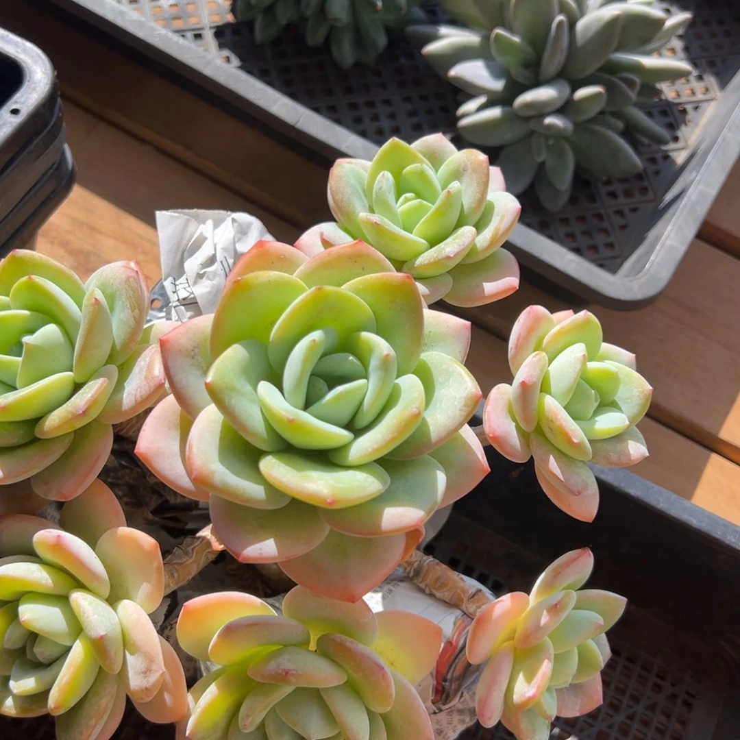 1111111111111111111111111111