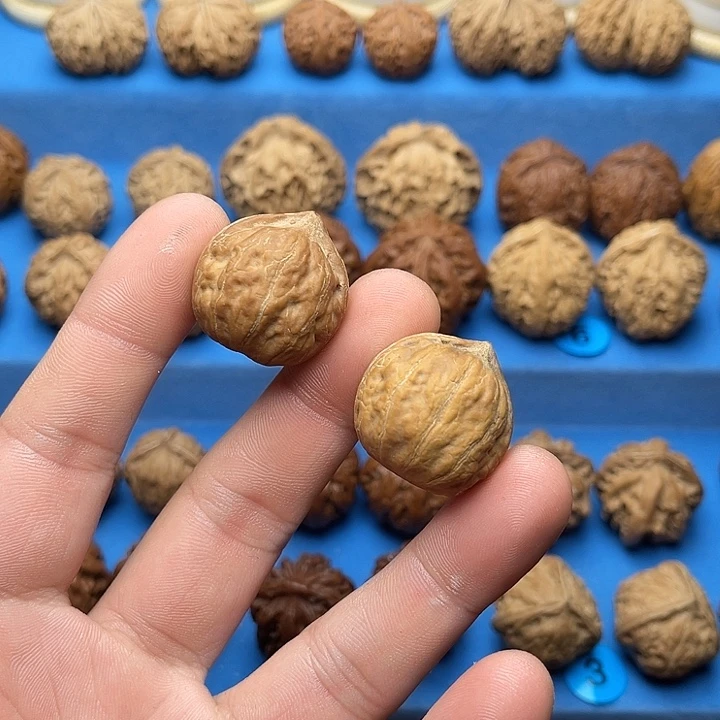 文玩核桃把件小板栗