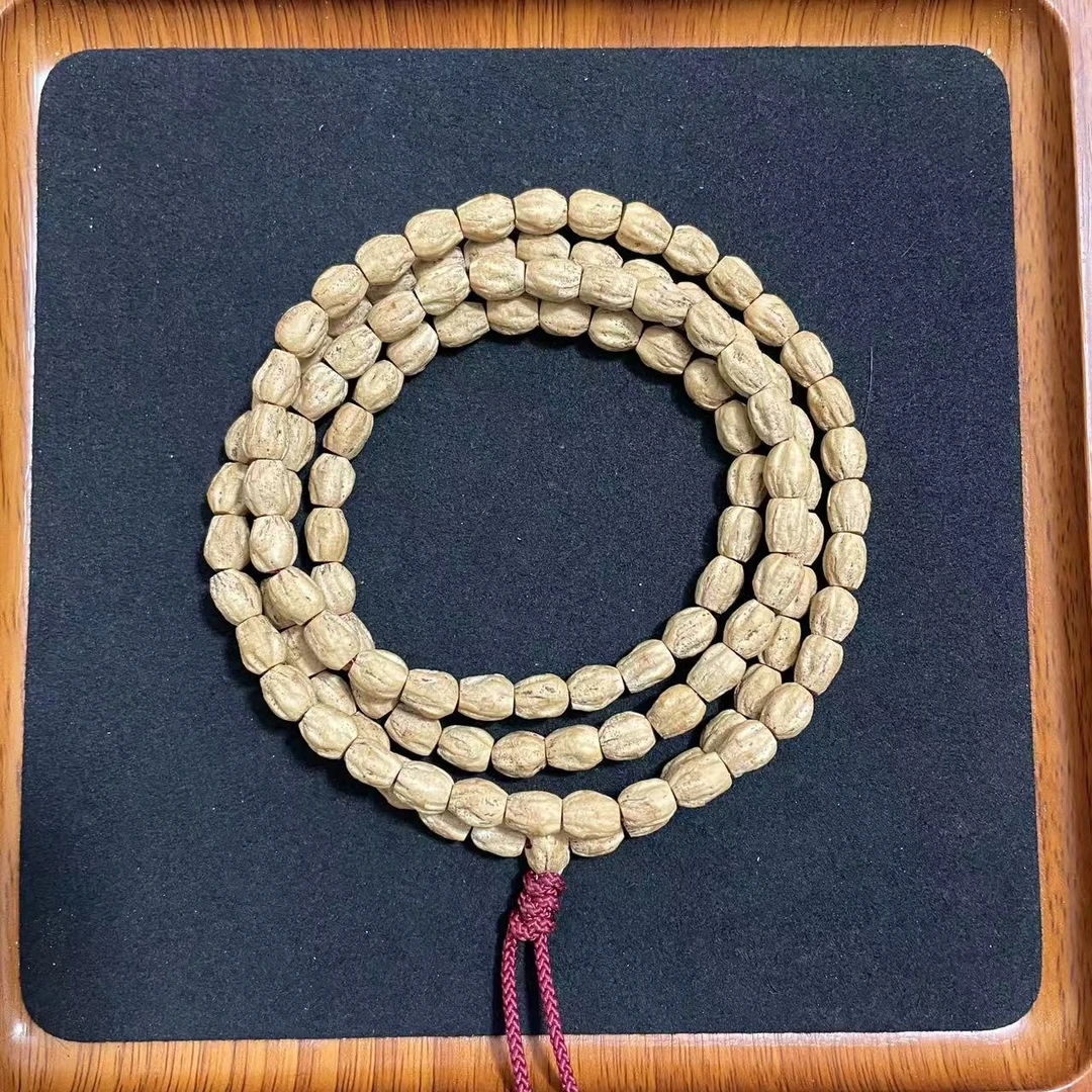 热振柏香籽高桩大长腿