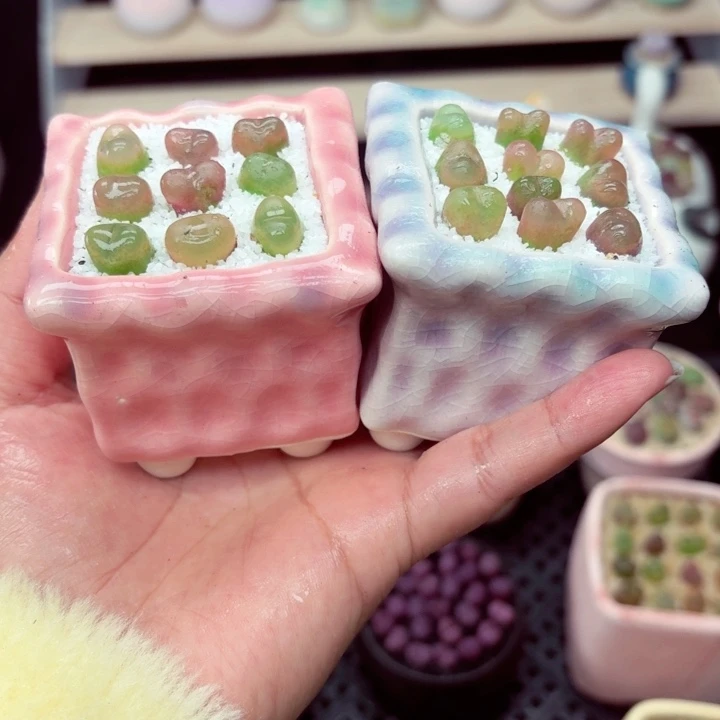 7023 零下地区记得拍保温箱