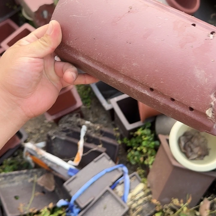 是一个集休闲农业的休闲胜地