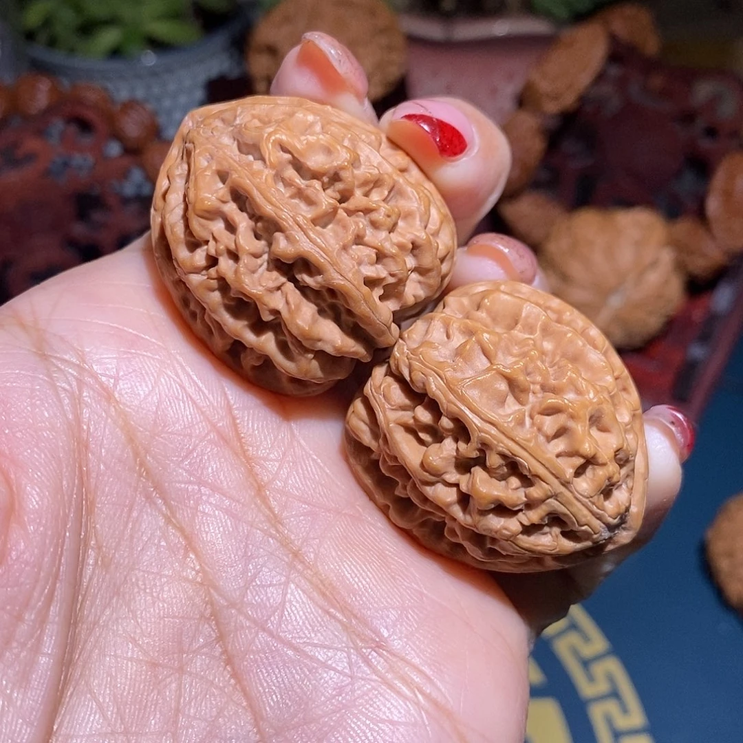 文玩核桃把件33卧龙小粗筋