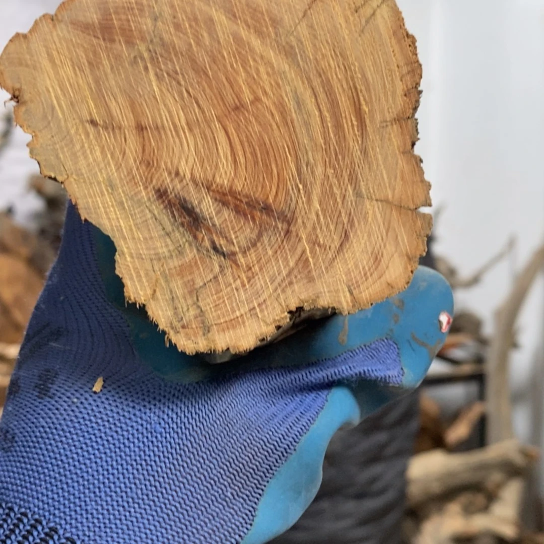 柏木朋*我们都是好孩子