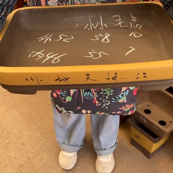 花盆紫砂只顾吃药睡