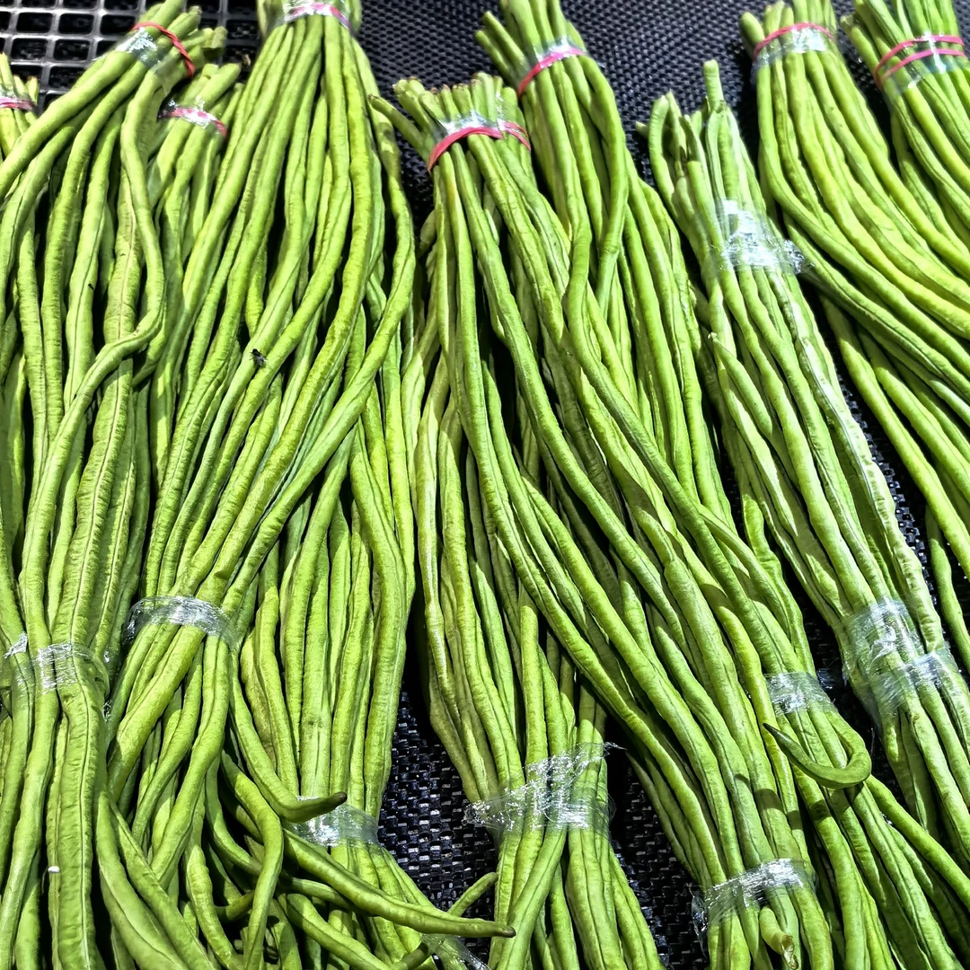 长豆角(约450-500g)(商道惠邻)豆角同城送