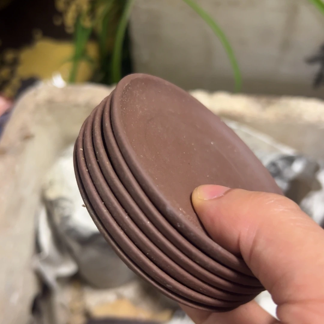 紫砂茶杯紫砂11111111