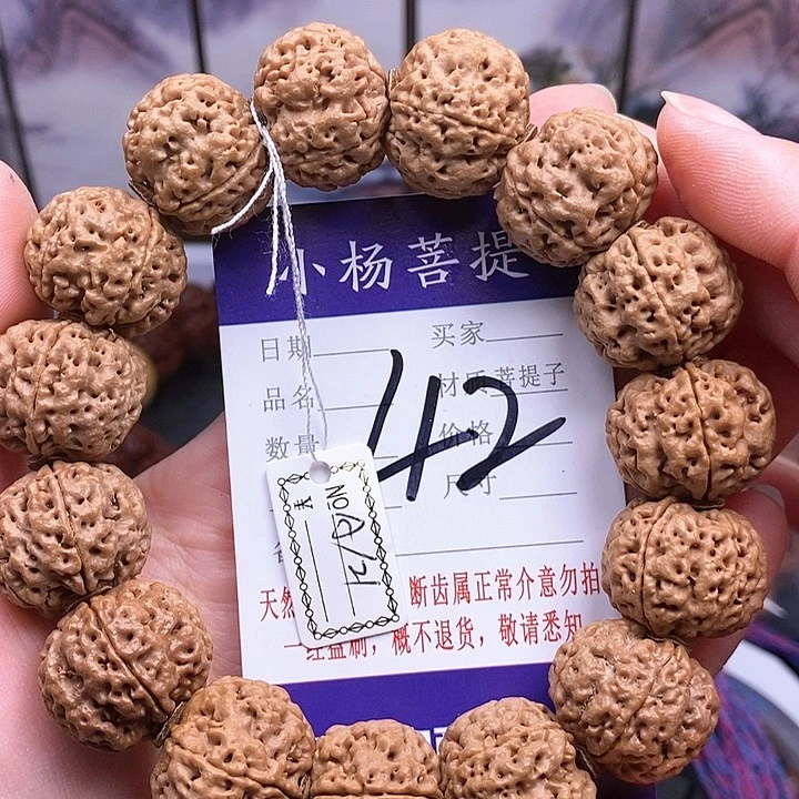 手串金刚菩提21粗筋双龙