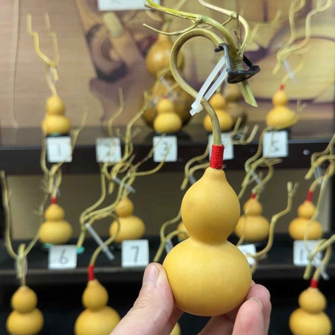 草***搁啊啊啊啊啊啊啊啊啊啊啊啊