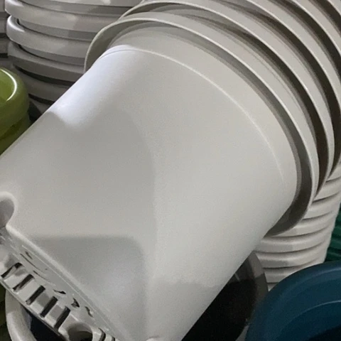 树脂四季3号灰白无托10个微瑕