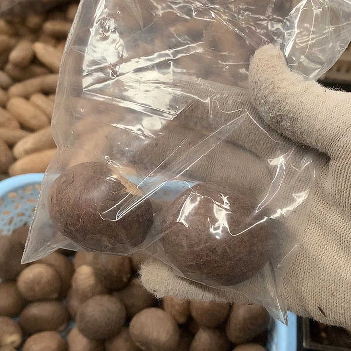 千眼菩提吊坠兔菩提