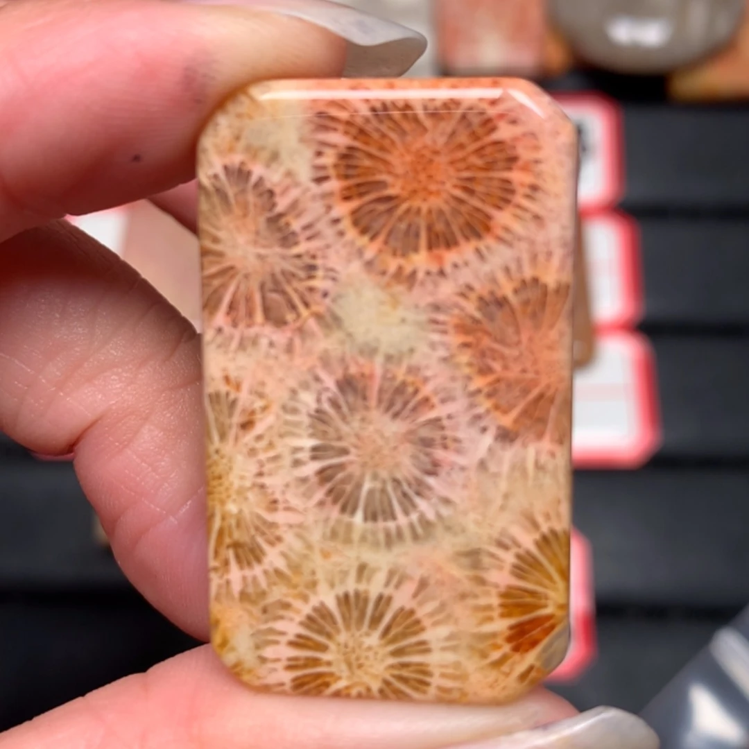 【闪购商品】硅化玉颈饰未镶嵌蓝*L