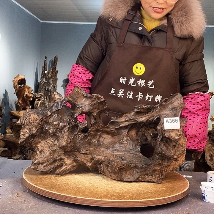 茶盏电*366株木底座随行根艺