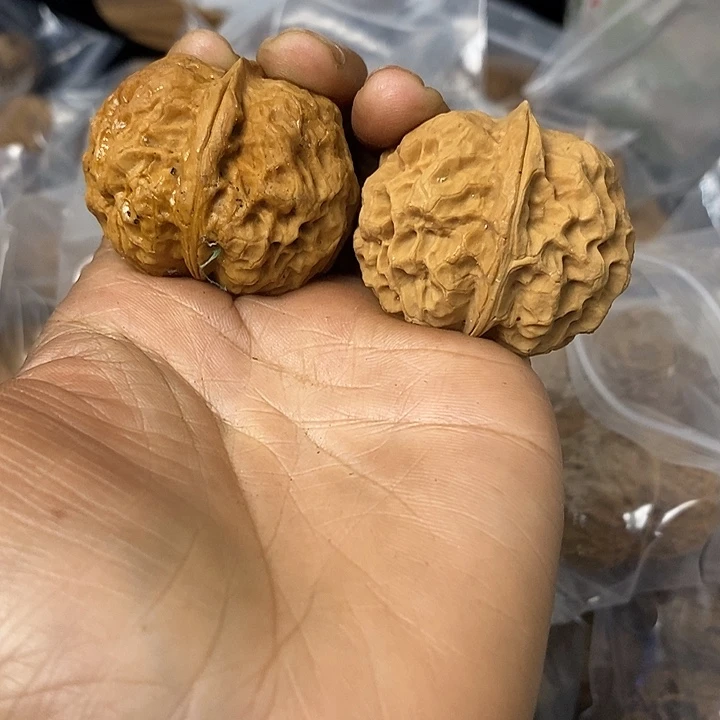核桃云南铁核桃基地87