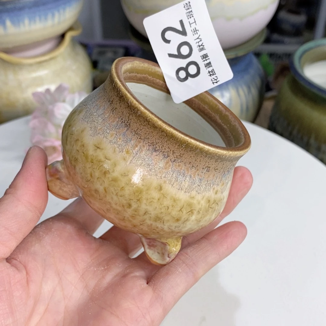 花盆花盆花盆花盆