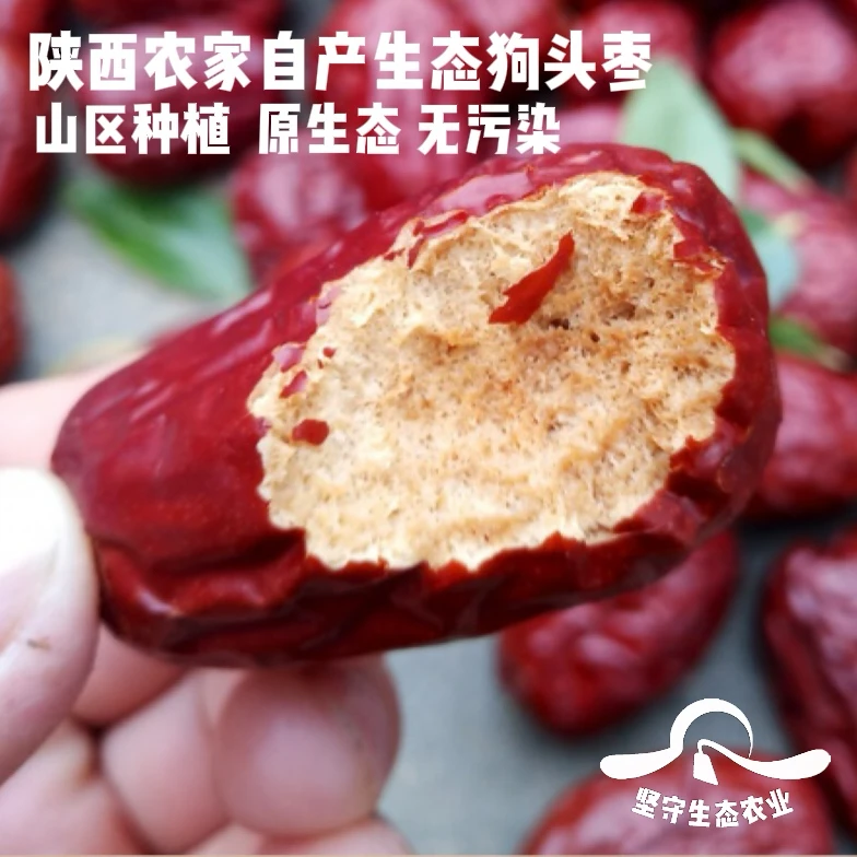 【福利】陕北革命圣地狗头枣，50年老树果园来自300多年的栽植产地
