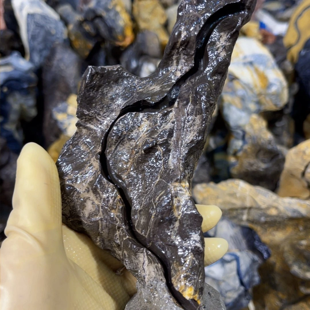 保****攀附石盆景一物一拍