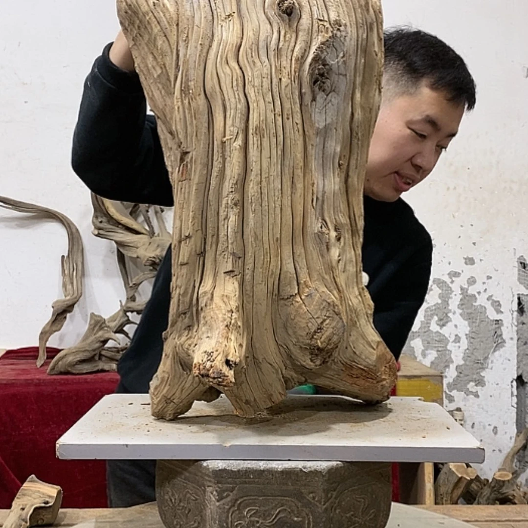 【闪购商品】柏木s*s我们都是好孩子