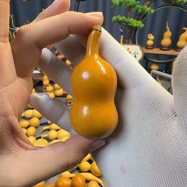 云***木老皮天津嘴将军肚葫芦