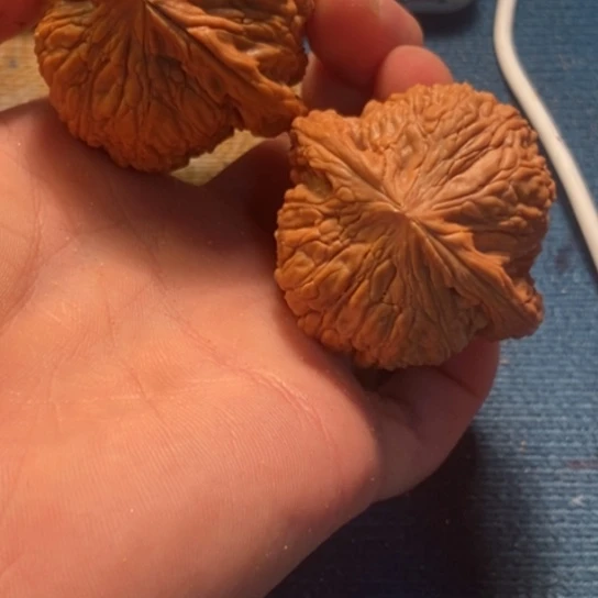 吊坠桃核全品泥鳅47