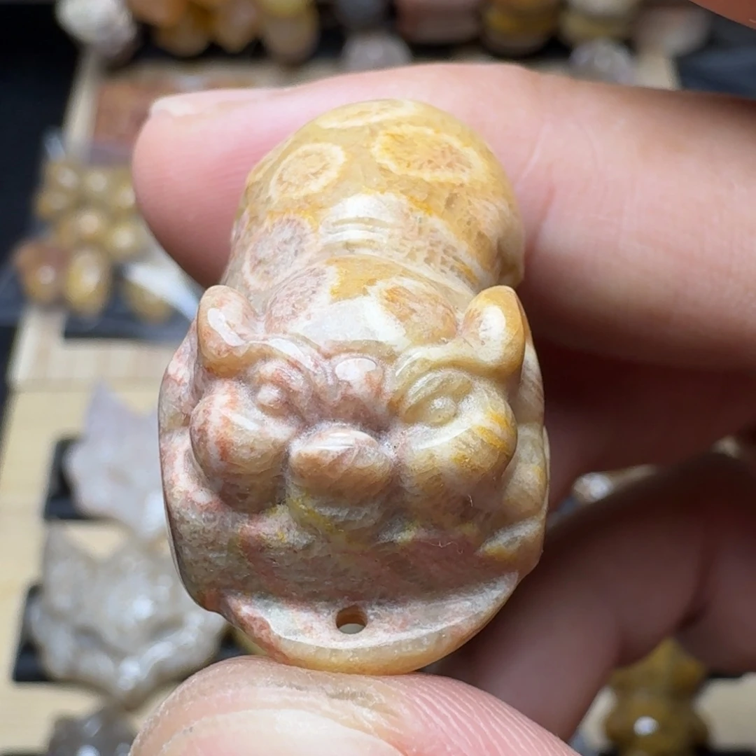 硅化珊瑚（珊瑚玉）未镶嵌纯天然色有机玉石保真色