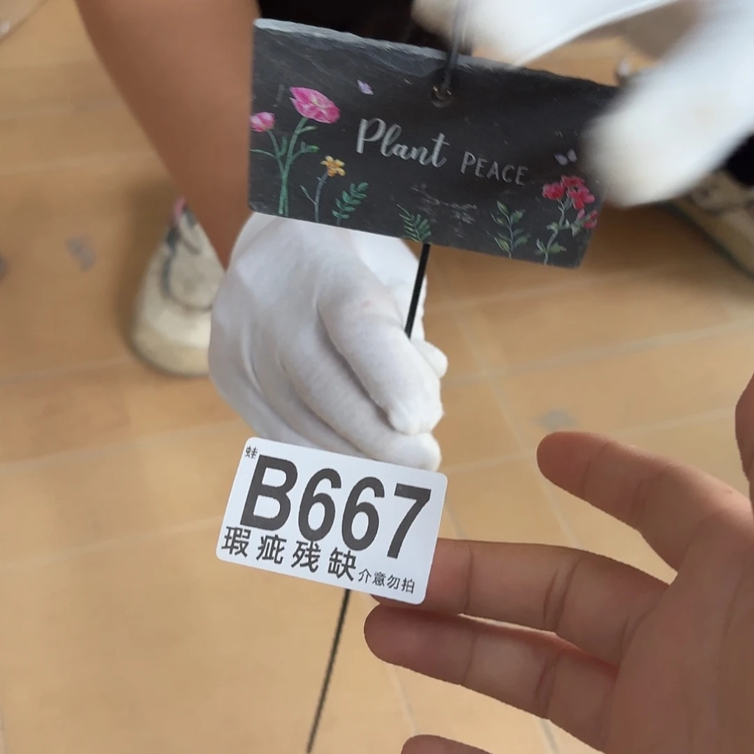 核桃木/黑胡桃（胡桃木）