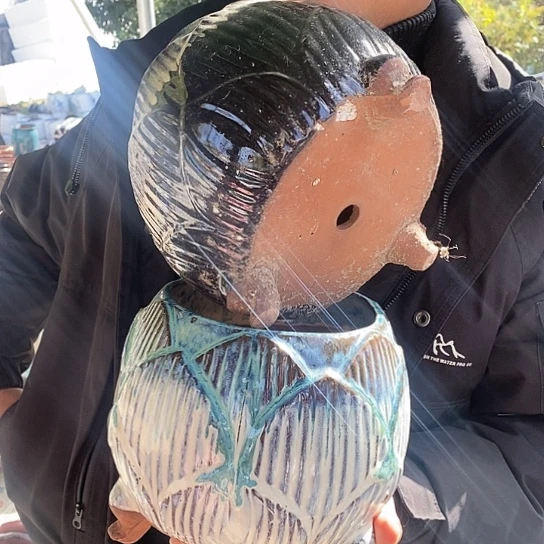 正品品质抓紧入手