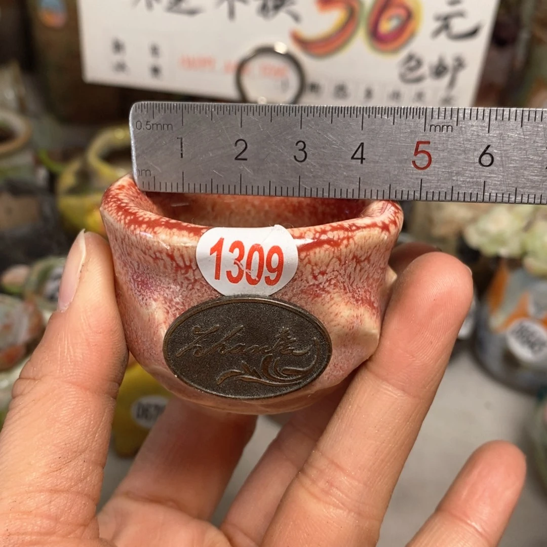 花盆拍5送一个小礼物