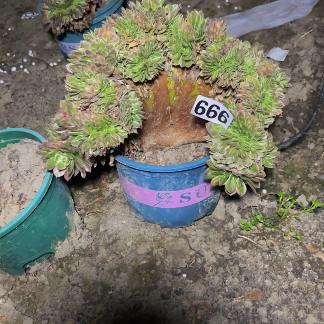 海王法师16///////10