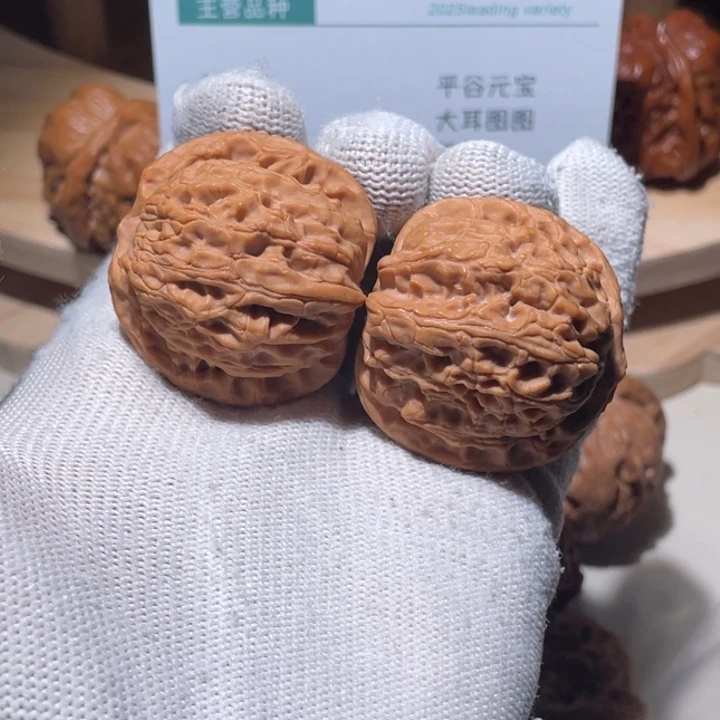 菲***菲吊坠文玩核桃36 36 龙胆元宝 713