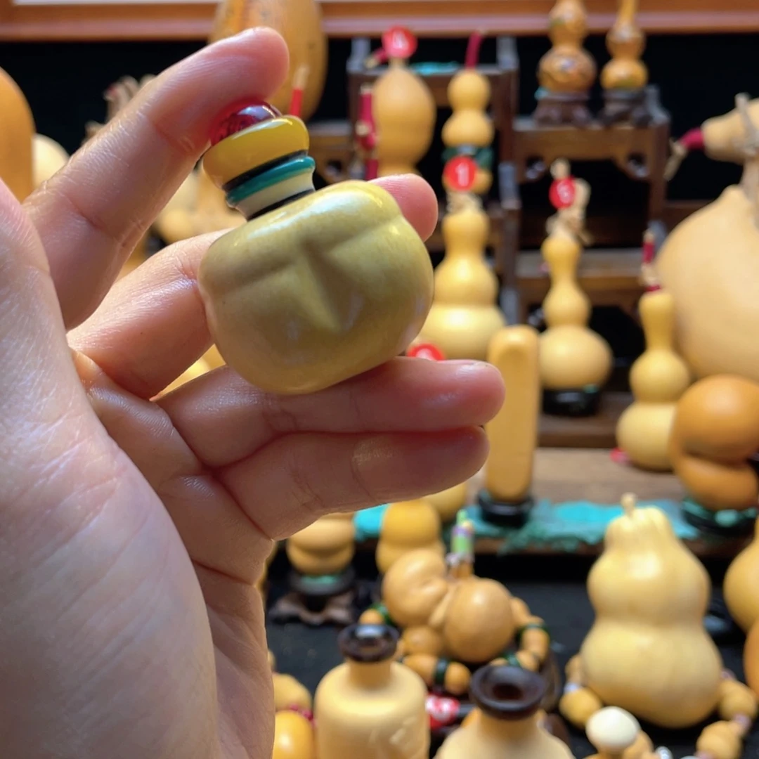 多*！大自然的秘密第十一节