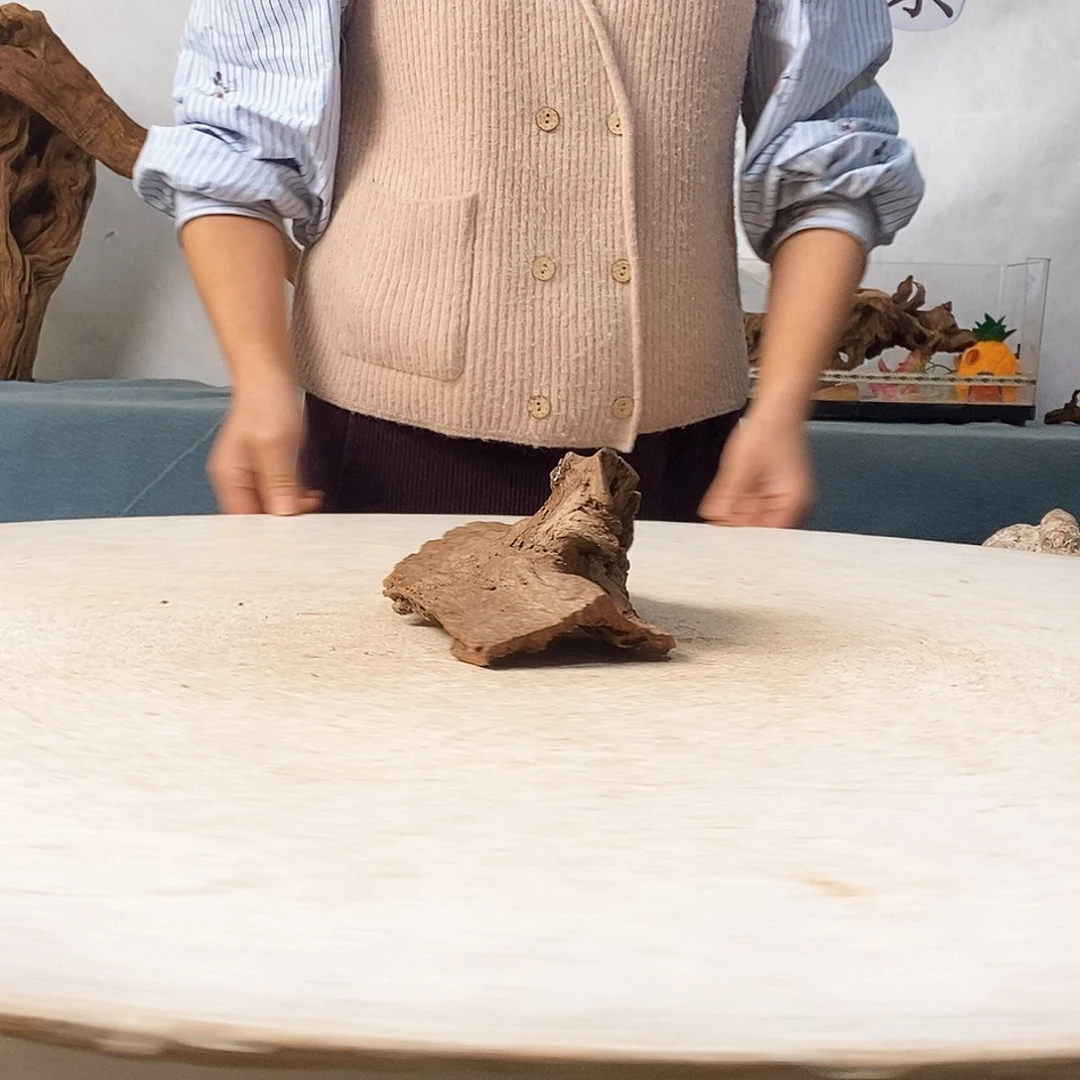 寄居蟹造景沉木造景