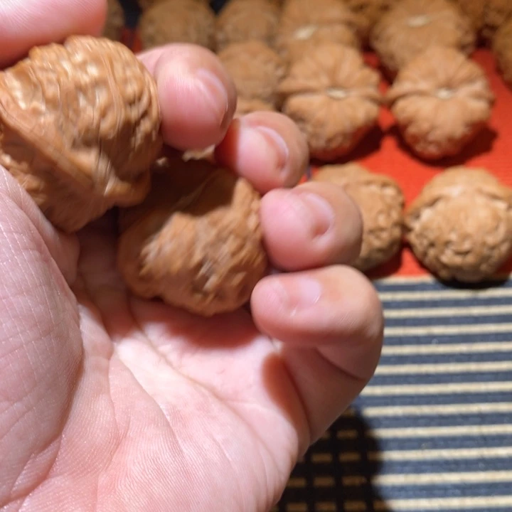 老***、核桃2号南瓜敦全品