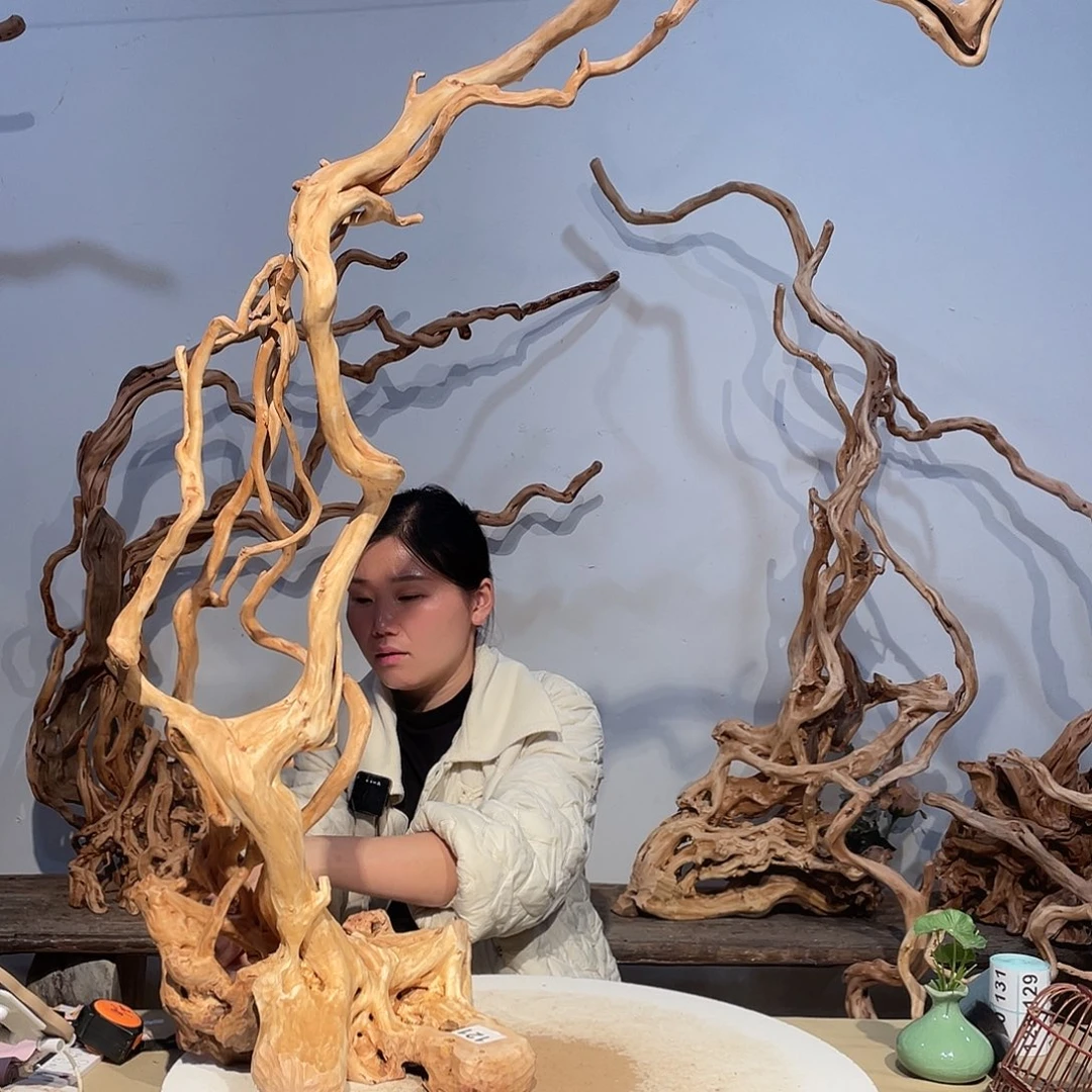 核桃木/黑胡桃（胡桃木）喜**康