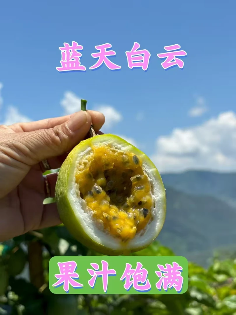 钦蜜9号黄金百香果当季新鲜水果现摘浓郁香甜多汁3-5斤